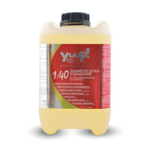 Yuup!® Professionelles Ultra entfettendes Shampoo-Konzentrat Variante (Volumen) 5 Liter Kanister von Yuup