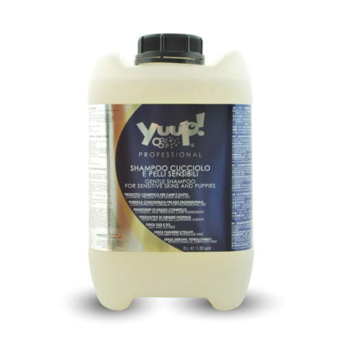 Yuup!® Professionelles mildes Hundeshampoo für empfindliche Haut und Welpen Variante (Volumen) 5 Liter Kanister von Yuup