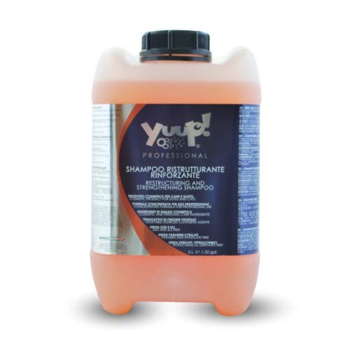 Yuup!® Professionelles restrukturierendes Aufbau-Shampoo Variante (Volumen) 10 Liter Kanister von Yuup!