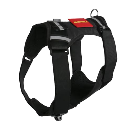 Kamerahalter für Haustiere, mit Gurt, Geschirr, abnehmbare Brusthalterung für Sportkamera-Enthusiasten, Schwarz Kamerahalter für Haustiere, mit Gurt, Geschirr, abnehmbare Brusthalterung für Sportkamera-Enthusiasten, Schwarz von Ywmsfl