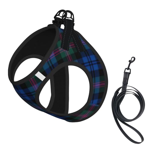 Hundegeschirr und Leine, Set mit Schottenkaro, atmungsaktiv, verstellbar, ausbruchsicher, Blau und Grün von Yyoretp