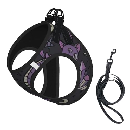 Hundegeschirr und Leine, Set mit gruseligem Aufdruck, atmungsaktiv, verstellbar, ausbruchsicher, für Katzen und Hunde, Violett / Schwarz von Yyoretp