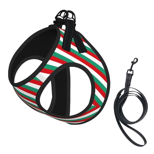 Hundegeschirr und Leine mit bulgarischer Flagge, atmungsaktiv, verstellbar, ausbruchsicher, Weste für Katzen und Hunde Hundegeschirr und Leine mit bulgarischer Flagge, atmungsaktiv, verstellbar, ausbruchsicher, Weste für Katzen und Hunde von Yyoretp