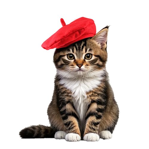 Weiche Stoff Haustier Berets Für Katzen Und Kleine Hunde Perfekte Fotoshootings Und Party Requisiten Modische Haustierhutfoto von Yzdysg