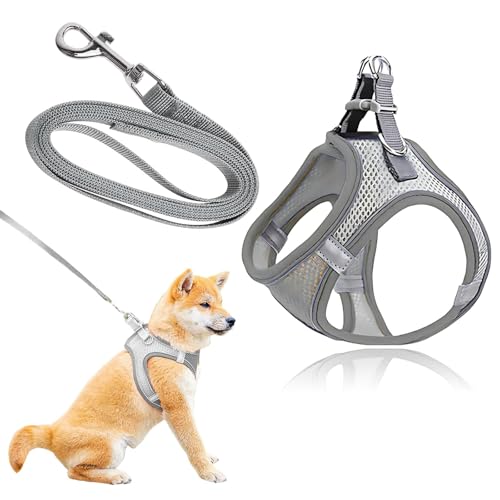 Weste, Katzengeschirr und Leine, Set mit Leine, weiches Hundegeschirr, für kleine Hunde, atmungsaktiv, mit Leinen, für den täglichen Spaziergang, verstellbar, weich gepolstert Weste, Katzengeschirr und Leine, Set mit Leine, weiches Hundegeschirr, für kleine Hunde, atmungsaktiv, mit Leinen, für den täglichen Spaziergang, verstellbar, weich gepolstert von YzmrBdqc