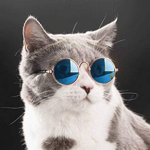 Augenabnutzung 1 stück 8 * 7,5 cm Schöne Haustierkatze Gläser Hundebrille Haustier Produkte Für kleine Hund Katze Augenbekleidung Hund Sonnenbrille Fotos Haustier Zubehör Tierzubehör ( Color : 9 ) von Z-LIANG
