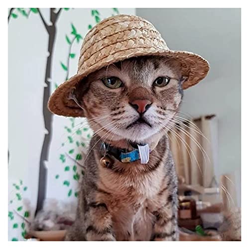 Z-LIANG Haustier Stroh Strickmütze Sun Stroh Strickmütze für kleine mittelgroße Katzen und Hunde Beach Party Kostüm Zubehör (Color : Beige, Tamaño : M) von Z-LIANG