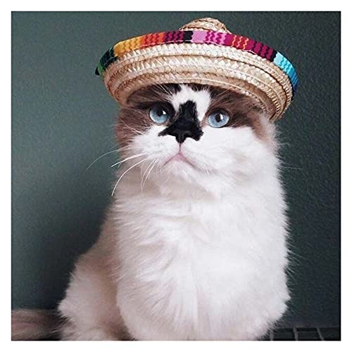 Z-LIANG Mexikanischer Haustier Strohhut Katze Hundehat Verstellbare Stirnband Kopfschmuck Kostüme Band Cap Festival Dog Caps (Enviado Desde : Estados Unidos) von Z-LIANG
