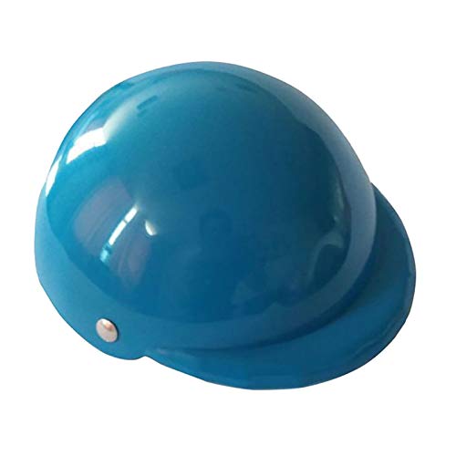 Z-LIANG Pet Products Katze Spielzeug Haustierspielzeug Helm Spielzeug, die Hundekostüme Zubehör Hübscher Bikerhut niedlich & lustiges Haustierspielzeug Helm (Color : Blue, Size : L) von Z-LIANG