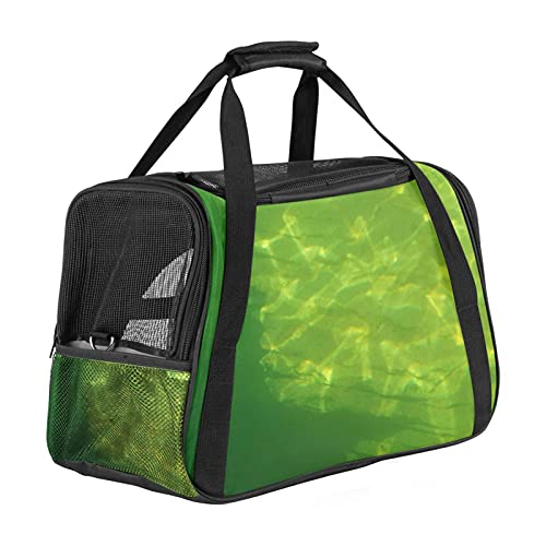 Grünes Wasser Weiche Reisetasche für Hunde und Katzen Von der Fluggesellschaft zugelassen extrem atmungsaktiv 43x26x30 cm von Z&Q
