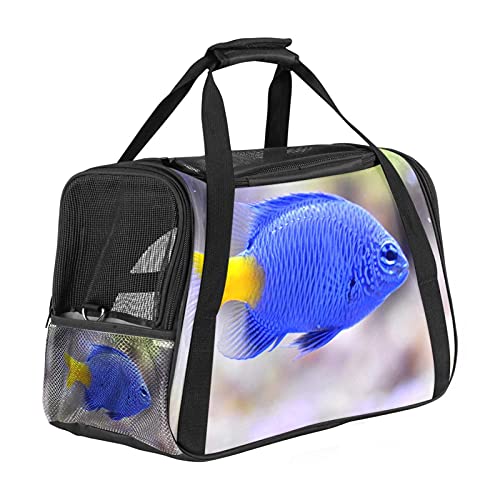 Katzentrage Gelber Schwanz Blauer Fisch Haustiertragetasche Fluggesellschaft Zugelassen Für Kleine Mittelgroße Katzen Hunde Welpen Kätzchen 43x26x30 cm von Z&Q