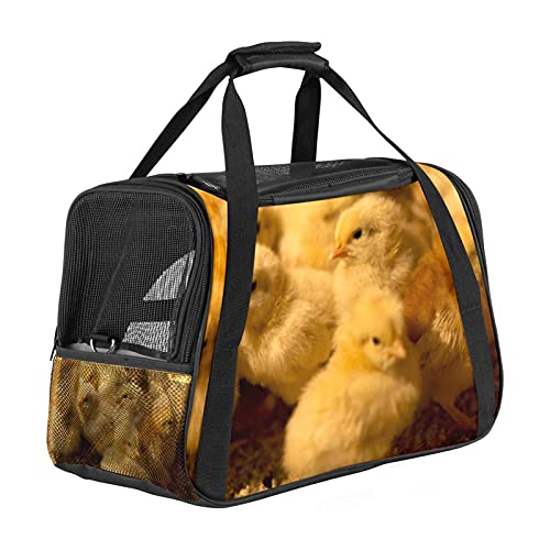Katzentrage Süße gelbe Küken Haustiertragetasche Fluggesellschaft zugelassen für kleine mittelgroße Katzen Hunde Welpen Kätzchen 43x26x30 cm von Z&Q