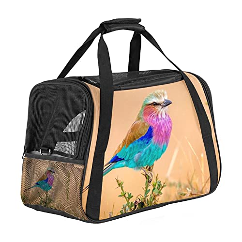 Reisetragetasche Für Haustiere Bunte Vögel Tragbare Reisetasche Für Hunde Oder Katzen Mit Sicherheitsreißverschlüssen 43x26x30 cm von Z&Q