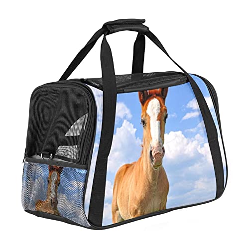 Reisetragetasche Für Haustiere Pferdegras Tragbare Reisetasche Für Hunde Oder Katzen Mit Sicherheitsreißverschlüssen 43x26x30 cm von Z&Q