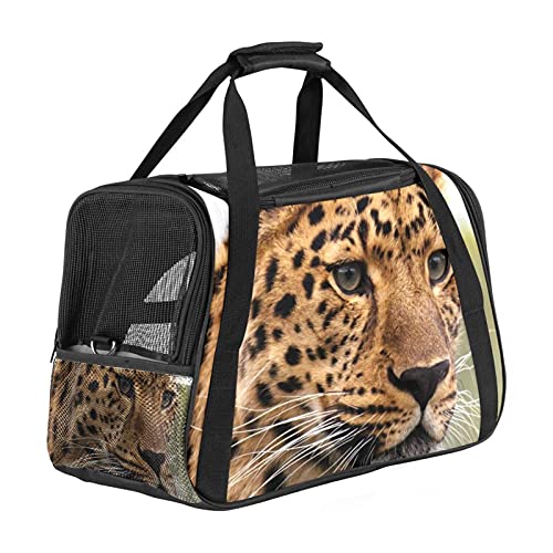 Reisetragetasche Für Haustiere Tierleopard Tragbare Reisetasche Für Hunde Oder Katzen Mit Sicherheitsreißverschlüssen 43x26x30 cm von Z&Q