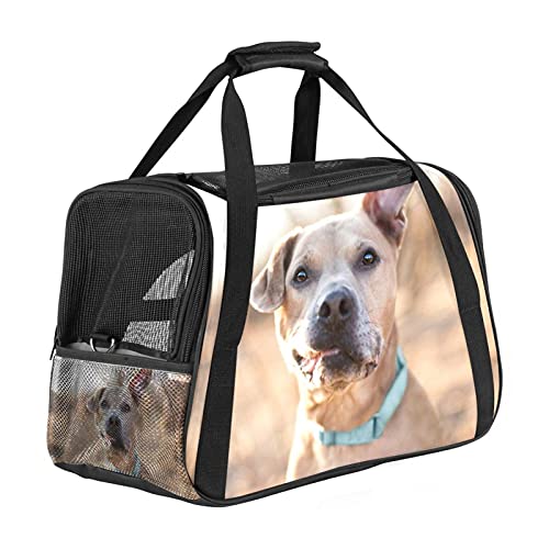Tier Hund Weiche Reisetasche für Hunde und Katzen Von der Fluggesellschaft zugelassen extrem atmungsaktiv 43x26x30 cm von Z&Q