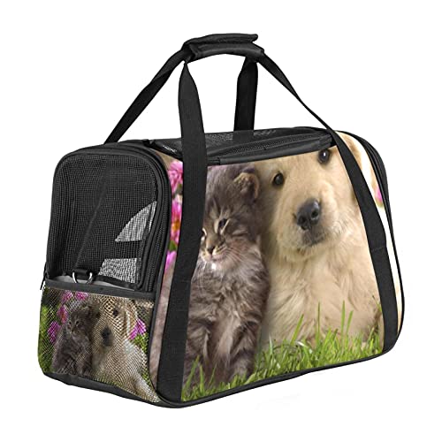 Tiere Katzen Hunde Weiche Reisetasche für Hunde und Katzen Von der Fluggesellschaft zugelassen extrem atmungsaktiv 43x26x30 cm von Z&Q