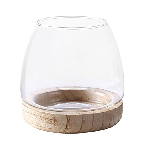 Hydroponische Vase | Hölzerne Unterstützung Transparente Fischglasvase aus Glas | Glas-Hydrokultur-Vase, ökologisches Aquarium, Aquarium-Blumenvase für Herzstück-Büro Zagaro von ZAGARO