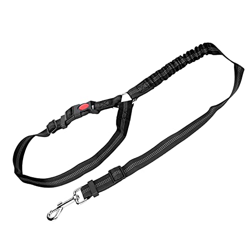 Hunde-Sicherheitsgurt Fürs Auto, Crash-getesteter Hunde-Sicherheitsgurt, Hunde-Sicherheitsgurt, Reflektierender Nylon-Sicherheitsgurt, Hundefesseln, Fahrzeug-Sicherheitsgurte, Hunde-Sicherheitsgurt Fürs Auto, Crash-getesteter Hunde-Sicherheitsgurt, Hunde-Sicherheitsgurt, Reflektierender Nylon-Sicherheitsgurt, Hundefesseln, Fahrzeug-Sicherheitsgurte, von ZAICOLER