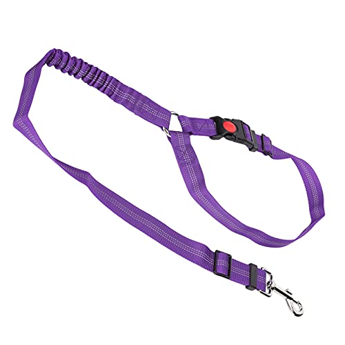 Hunde-Sicherheitsgurt Fürs Auto, Crash-getesteter Hunde-Sicherheitsgurt, Hunde-Sicherheitsgurt, Reflektierender Nylon-Sicherheitsgurt, Hundefesseln, Fahrzeug-Sicherheitsgurte, Hunde-Sicherheitsgurt Fürs Auto, Crash-getesteter Hunde-Sicherheitsgurt, Hunde-Sicherheitsgurt, Reflektierender Nylon-Sicherheitsgurt, Hundefesseln, Fahrzeug-Sicherheitsgurte, von ZAICOLER