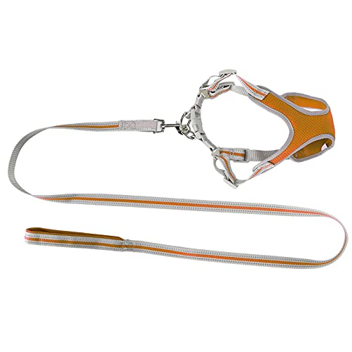 Reflektierende Hundeweste, Haustier-Outdoor-Geschirr, Weiches Hundewestengeschirr, Hundegeschirr, Mittelgroßes Hunde- und Katzengeschirr und Leine für Kleine, Mittelgroße und Reflektierende Hundeweste, Haustier-Outdoor-Geschirr, Weiches Hundewestengeschirr, Hundegeschirr, Mittelgroßes Hunde- und Katzengeschirr und Leine für Kleine, Mittelgroße und von ZAICOLER
