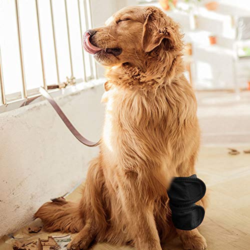 ZAICOLER Leckmanschette für das Hinterbein von Hunden, Hunde-Beinbandage, Schützt Wunden, Leggings, Schutzbandage, 2 Stück, Hunde-Vorderbein-Kompressionsbandage, Wickelmanschette für ZAICOLER Leckmanschette für das Hinterbein von Hunden, Hunde-Beinbandage, Schützt Wunden, Leggings, Schutzbandage, 2 Stück, Hunde-Vorderbein-Kompressionsbandage, Wickelmanschette für von ZAICOLER