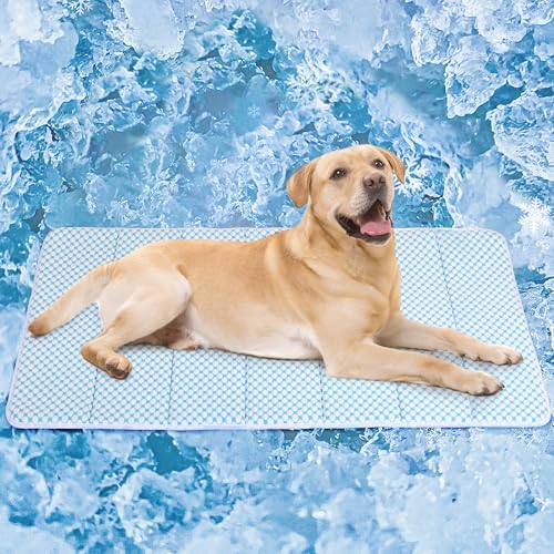 ZAKAPAWS Hunde-Kühlmatte für große Hunde, orthopädische Memory-Foam-Haustierunterlage für den Sommer, QMAX > 0,5, waschbar, Premium-Komfortmatte für Ihren pelzigen Begleiter, Blau von ZAKAPAWS
