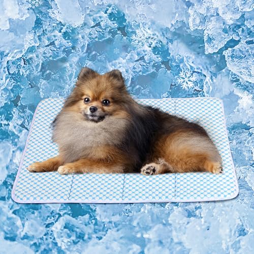 ZAKAPAWS Hunde-Kühlmatte für kleine Hunde, orthopädische Memory-Foam-Haustierunterlage für den Sommer, QMAX > 0,5, waschbar, Premium-Komfortmatte für Ihren pelzigen Begleiter, Blau von ZAKAPAWS