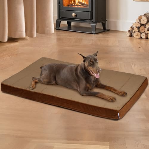 ZAKAPAWS Hundebett für XXL große Hunde – Orthopädische Haustierbetten mit Memory-Schaum, wasserdichter, abnehmbarer, waschbarer Bezug mit rutschfester Unterseite, Khaki, 119,4 cm L x 73,7 cm B x 7,6 von ZAKAPAWS