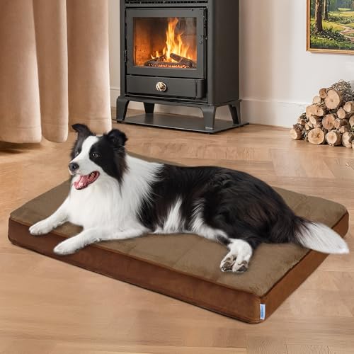 ZAKAPAWS Hundebett für große Hunde – Orthopädische Haustierbetten mit Memory-Schaum, wasserdichter, abnehmbarer, waschbarer Bezug mit rutschfester Unterseite, Khaki, 88,9 cm L x 58,4 cm B x 7,6 cm H von ZAKAPAWS