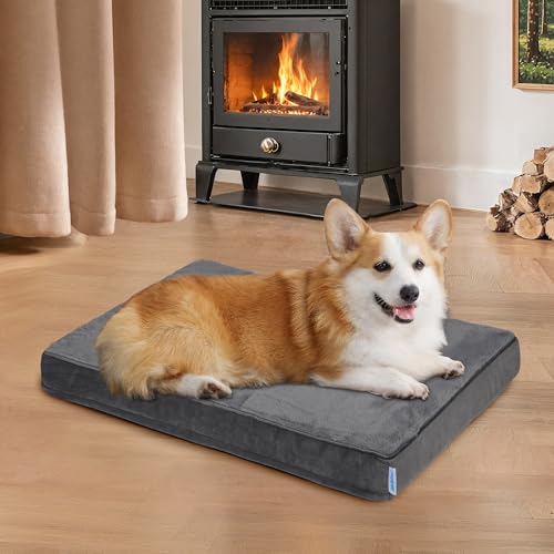 ZAKAPAWS Hundebett für mittelgroße Hunde – Orthopädische Haustierbetten mit Memory-Schaum, wasserdichter, abnehmbarer, waschbarer Bezug mit rutschfester Unterseite, Grau, 76,2 cm L x 50,8 cm B x 7,6 von ZAKAPAWS