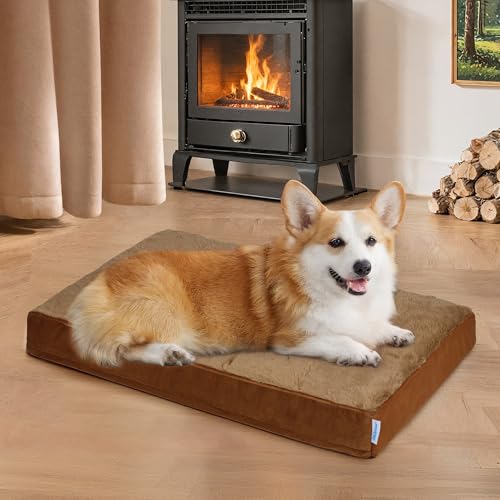 ZAKAPAWS Hundebett für mittelgroße Hunde – Orthopädische Haustierbetten mit Memory-Schaum, wasserdichter, abnehmbarer, waschbarer Bezug mit rutschfester Unterseite, Khaki, 76,2 cm L x 50,8 cm B x 7,6 von ZAKAPAWS