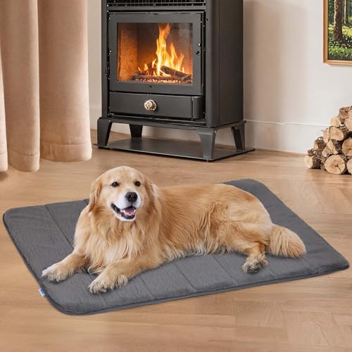 ZAKAPAWS Hundekäfigunterlage für X große Hunde - Orthopädisches Hundebett mit Memory-Schaum, waschbar, weich, warm, Haustiermatte mit rutschfester Unterseite, Grau ZAKAPAWS Hundekäfigunterlage für X große Hunde - Orthopädisches Hundebett mit Memory-Schaum, waschbar, weich, warm, Haustiermatte mit rutschfester Unterseite, Grau von ZAKAPAWS