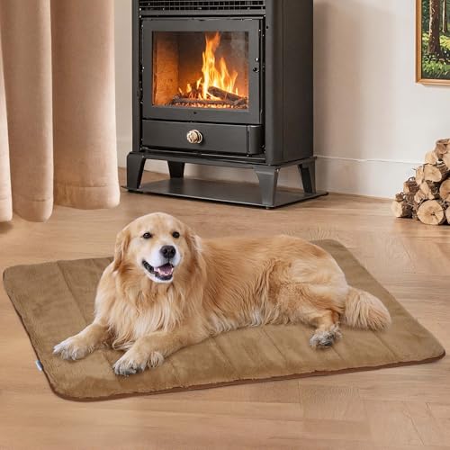 ZAKAPAWS Hundekäfigunterlage für X große Hunde - Orthopädisches Hundebett mit Memory-Schaum, waschbar, weich, warm, Haustiermatte mit rutschfester Unterseite, Khaki ZAKAPAWS Hundekäfigunterlage für X große Hunde - Orthopädisches Hundebett mit Memory-Schaum, waschbar, weich, warm, Haustiermatte mit rutschfester Unterseite, Khaki von ZAKAPAWS
