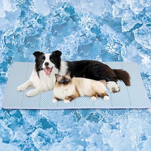 ZAKAPAWS Kühlmatte für große Hunde – waschbare kühlende Haustierunterlage für den Sommer, Premium-Komfort-Kistenunterlage für Ihren pelzigen Begleiter, blau, 119 x 74 cm ZAKAPAWS Kühlmatte für große Hunde – waschbare kühlende Haustierunterlage für den Sommer, Premium-Komfort-Kistenunterlage für Ihren pelzigen Begleiter, blau, 119 x 74 cm von ZAKAPAWS