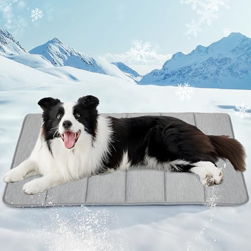 ZAKAPAWS Kühlmatte für große Hunde – waschbare kühlende Haustierunterlage für den Sommer, Premium-Komfort-Kistenunterlage für Ihren pelzigen Begleiter, grau, 88 x 58 cm ZAKAPAWS Kühlmatte für große Hunde – waschbare kühlende Haustierunterlage für den Sommer, Premium-Komfort-Kistenunterlage für Ihren pelzigen Begleiter, grau, 88 x 58 cm von ZAKAPAWS