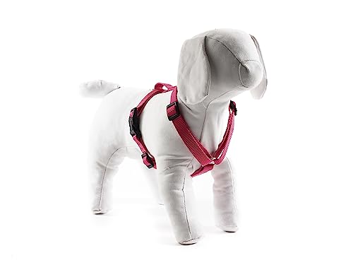 Geschirr, Polyester, verstellbar, 2,5 x 40 – 60 cm, Fuchsia von ZAMIBO