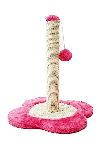 Kratzbaum mit Blumensockel, 38 x 34 x 34 cm, 1 Spielzeugball, Fuchsia von ZAMIBO