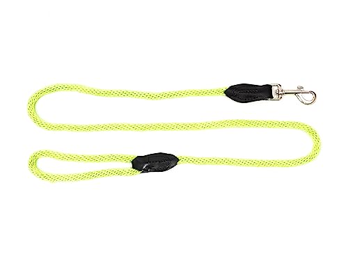 Leine, Nylon, rund, 130 x 1 cm, anisgrün Leine, Nylon, rund, 130 x 1 cm, anisgrün von ZAMIBO