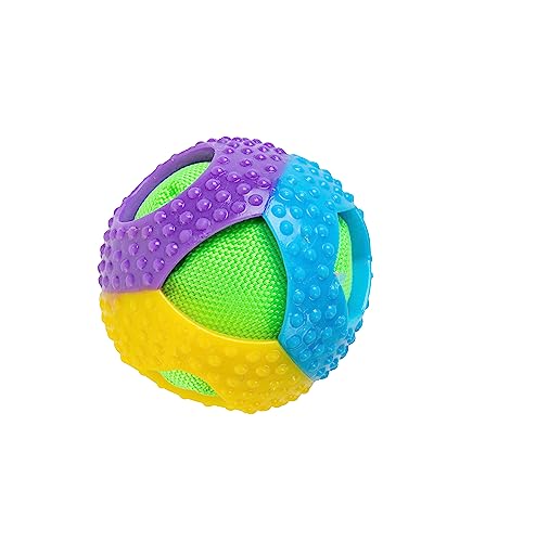 ZAMIBO Hundespielzeug Ball TPR, 7,8 cm, Mehrfarbig von ZAMIBO