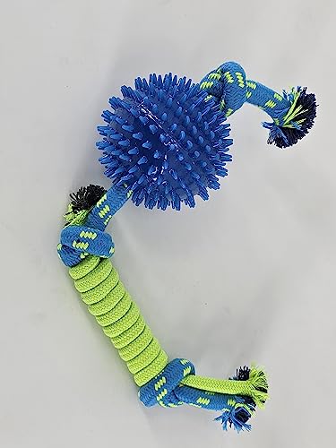 ZAMIBO Hundespielzeug Seil und Ball TPR 46 cm, Grün und Blau von ZAMIBO