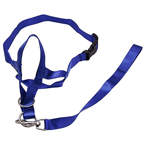 ZANGAO Haustier Hund gepolstert Kopf Kragen Champion Hundetraining Halter Stoppt Training Tool ziehen (Color : Blue, Size : M) von ZANGAO