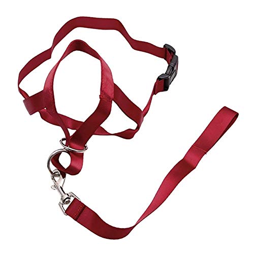 ZANGAO Haustier Hund gepolstert Kopf Kragen Champion Hundetraining Halter Stoppt Training Tool ziehen (Color : Red, Size : XL) von ZANGAO