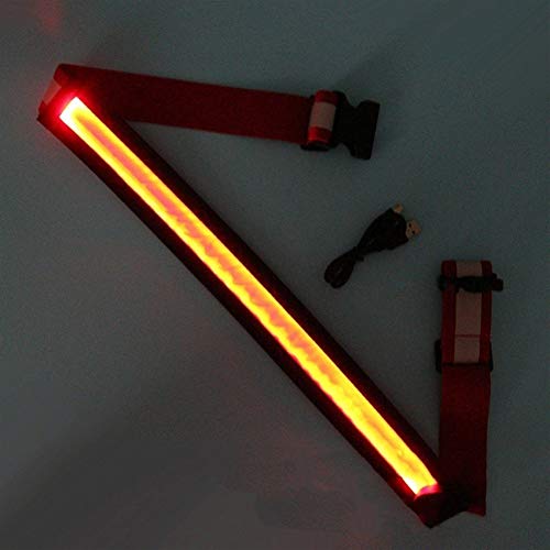 ZANGAO LED Kummet Bridle Halter Multifunktions Visibility Polyester Nachtreiten REIT Sicherheits-Gang mit USB-Lade (Color : Red) von ZANGAO