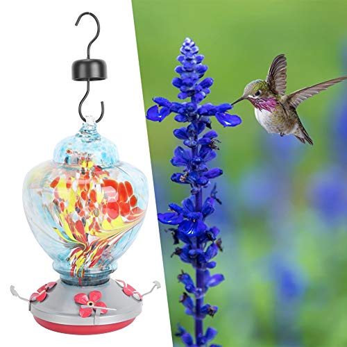 ZASCHMOY Buntes Kolibri -Feeder mit Ruhender Barsch und Ameisengraben | Zuverlässiger Glasgarten -Vogel Fütterungswerkzeug | Attraktive Innenhofdekoration (B) von ZASCHMOY