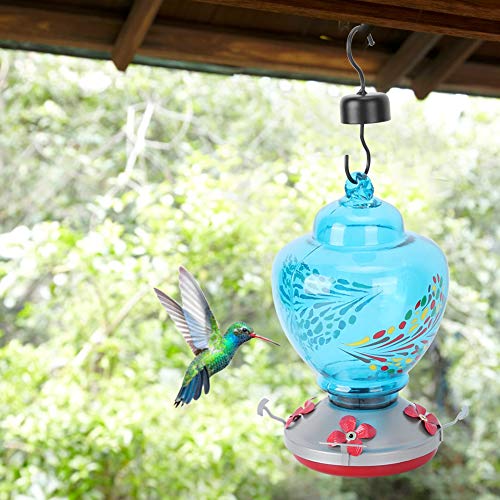 ZASCHMOY Buntes Kolibri -Feeder mit Ruhender Barsch und Ameisengraben | Zuverlässiger Glasgarten -Vogel Fütterungswerkzeug | Attraktive Innenhofdekoration (E) von ZASCHMOY