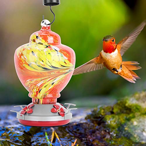 ZASCHMOY Buntes Kolibri -Feeder mit Ruhender Barsch und Ameisengraben | Zuverlässiger Glasgarten -Vogel Fütterungswerkzeug | Attraktive Innenhofdekoration (G) von ZASCHMOY