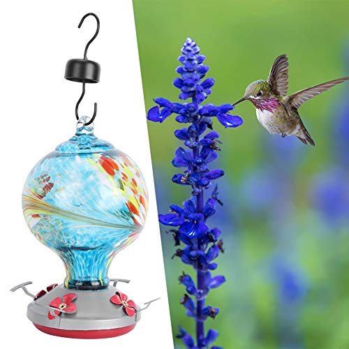 ZASCHMOY Buntes Kolibri -Feeder mit Ruhender Barsch und Ameisengraben | Zuverlässiger Glasgarten -Vogel Fütterungswerkzeug | Attraktive Innenhofdekoration (H) von ZASCHMOY