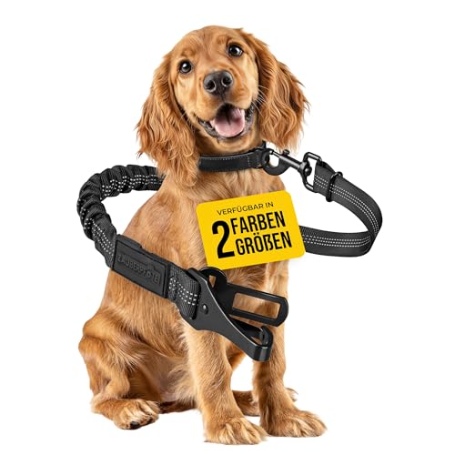 ZAUBERPFOTE Hundegurt 'Argo‘ fürs Auto – Verstellbarer Sicherheitsgurt mit Rückdämpfung & ISOFIX Anschluss – Anschnallgurt für alle Hunderassen (Schwarz, Gr. S) von ZAUBERPFOTE