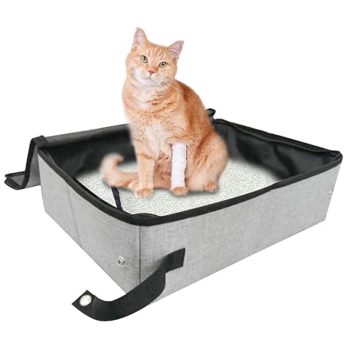 Reise-Katzentoilette Tragbare Katzentoilette mit Deckel, Zusammenklappbare Katzentoilette (M) von ZAUZKEA